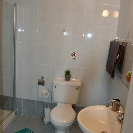 Luxury Apartment